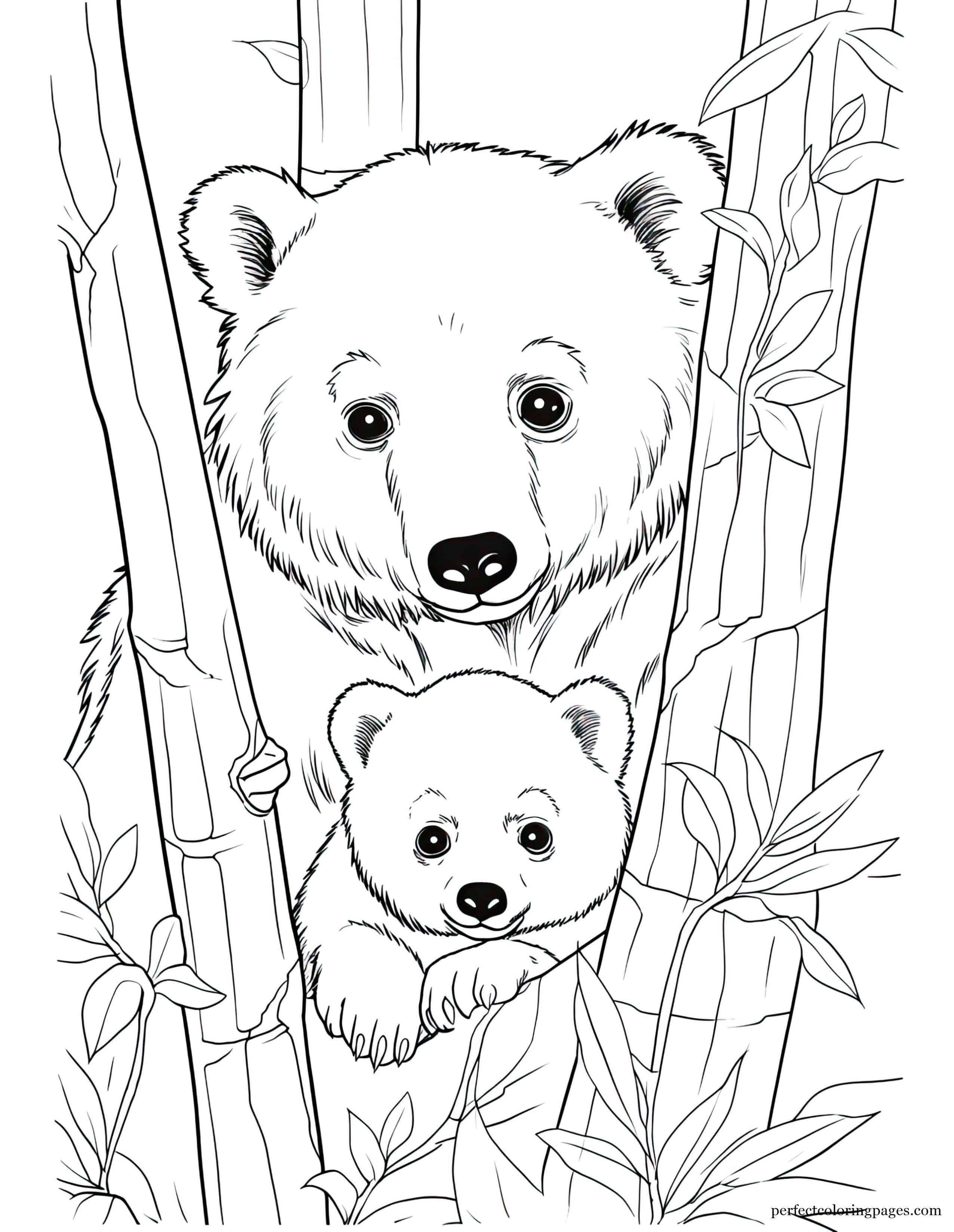 Black Bear Cub Hiding Behind Its Mother Printable Coloring Sheet