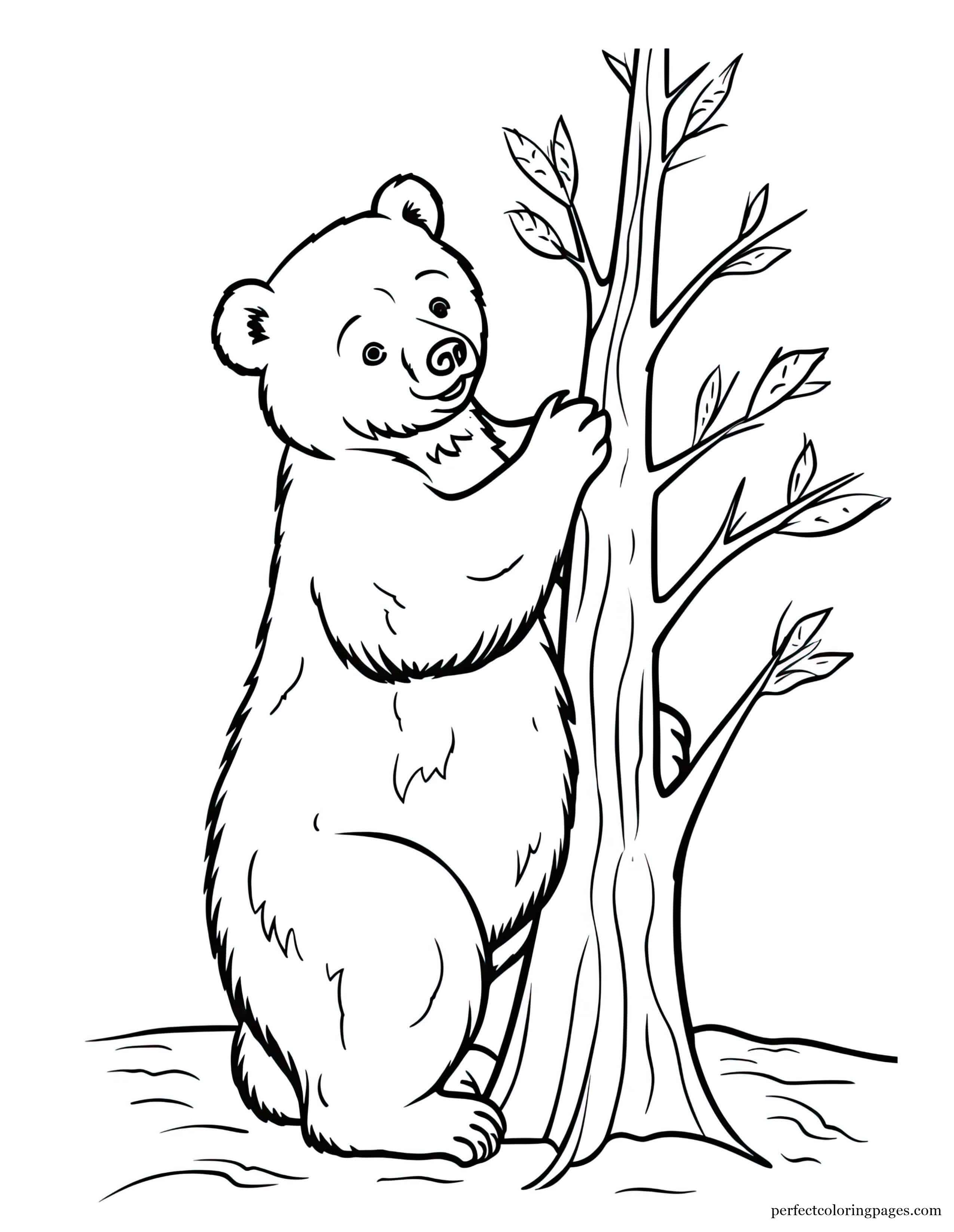 Brown Bear Scratching Its Belly on a Pine Tree Trunk Easy Coloring Picture for Preschoolers