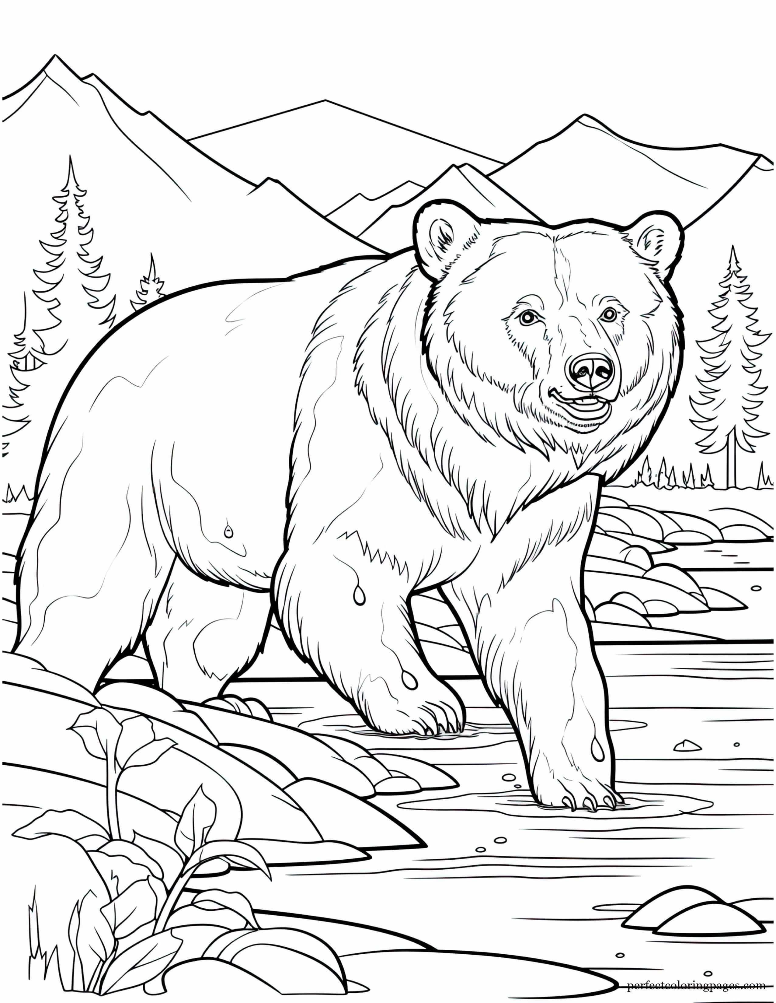 Giant Kodiak Bear Catching Salmon in Alaska Picture to Color