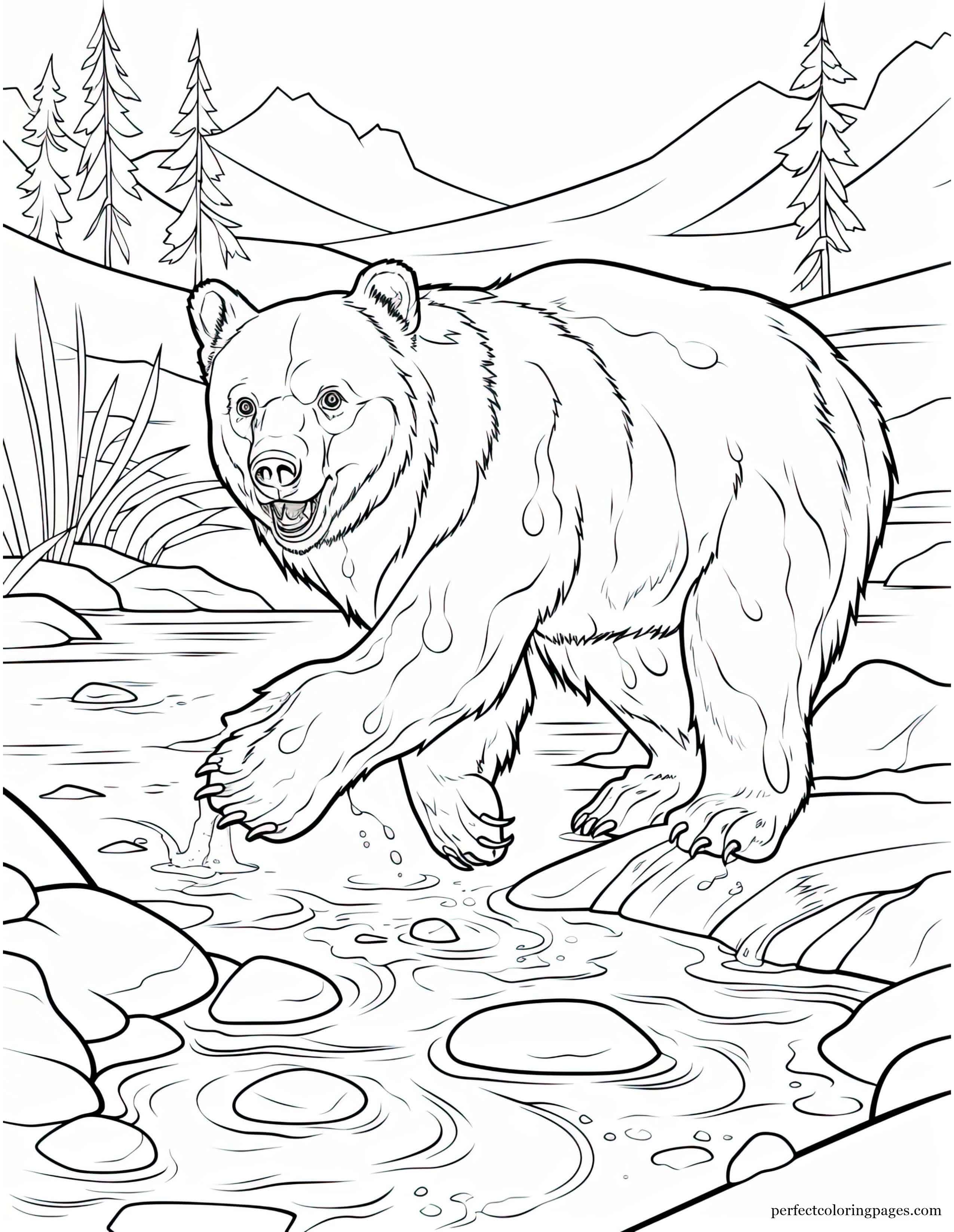 Grizzly Bear Catching a Fish Barehanded in a Crystal Clear Stream Coloring Page for Adults