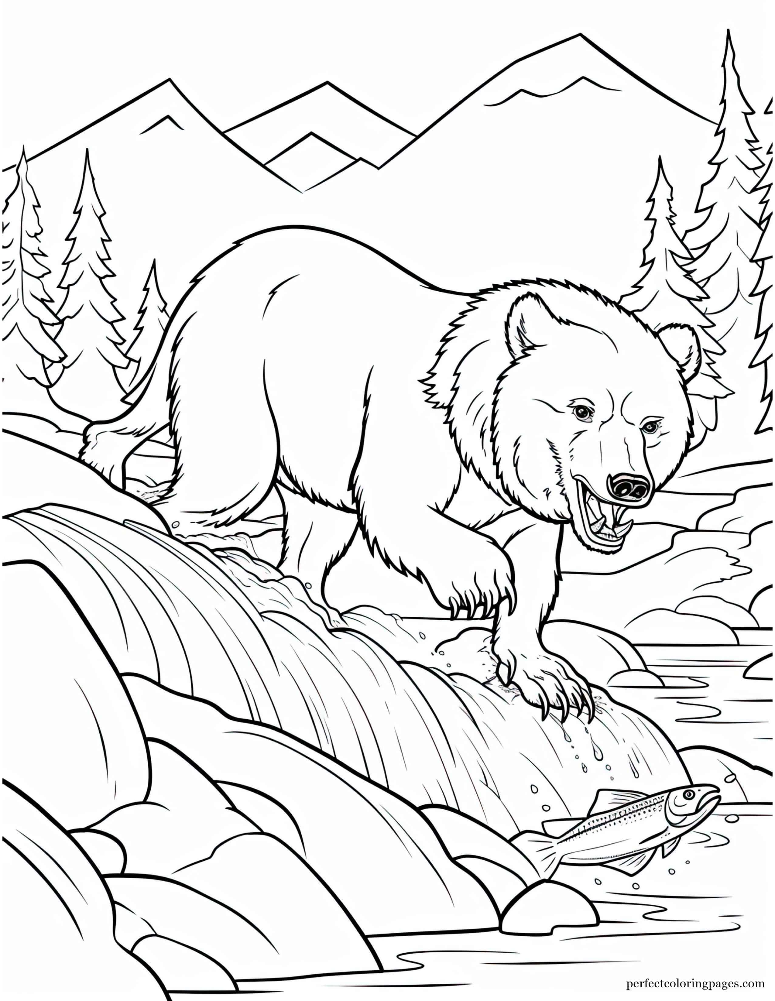 Grizzly Bear Catching Salmon Easy Coloring Page