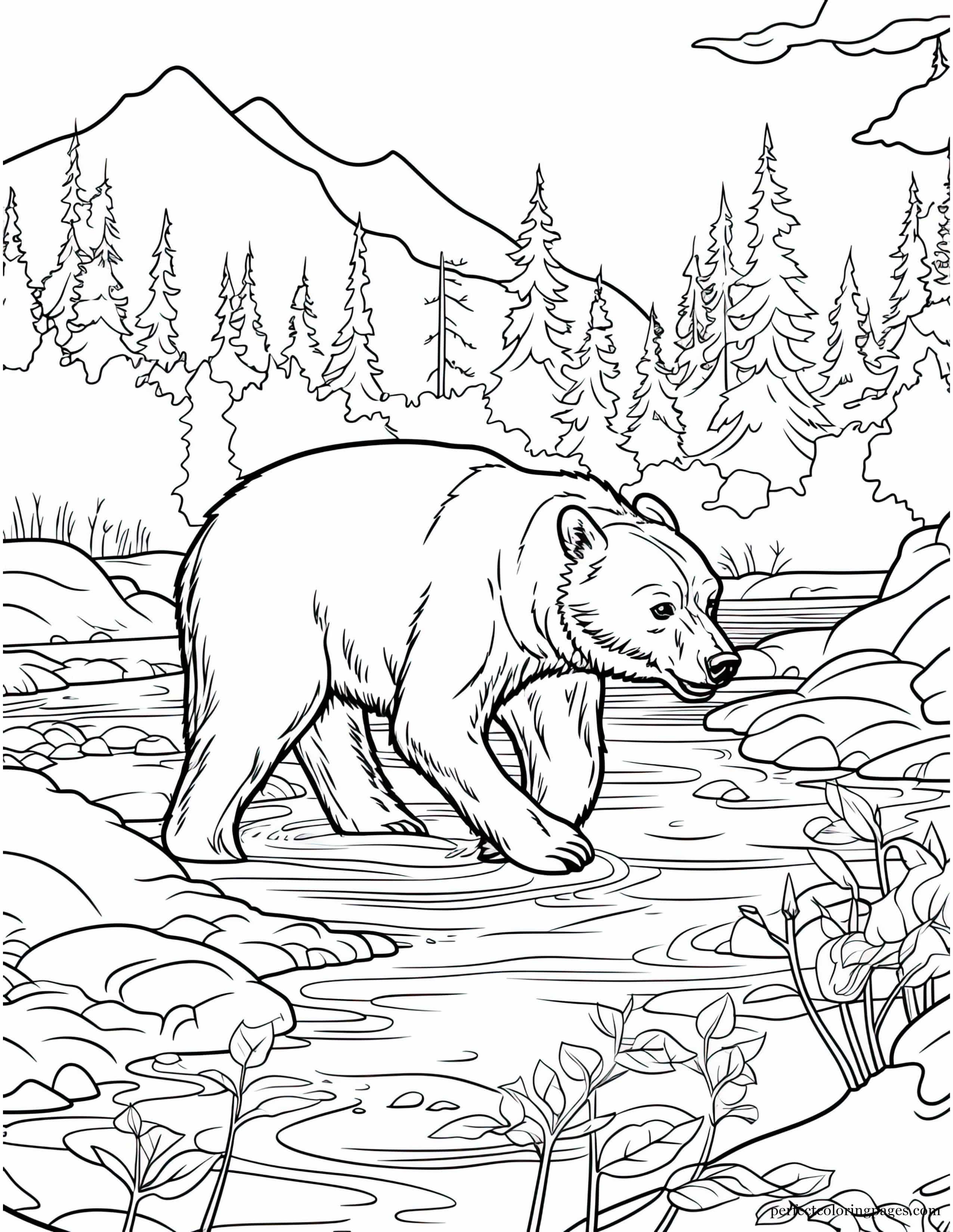 Grizzly Bear Foraging for Berries Near a Forest River Picture to Color for Adults