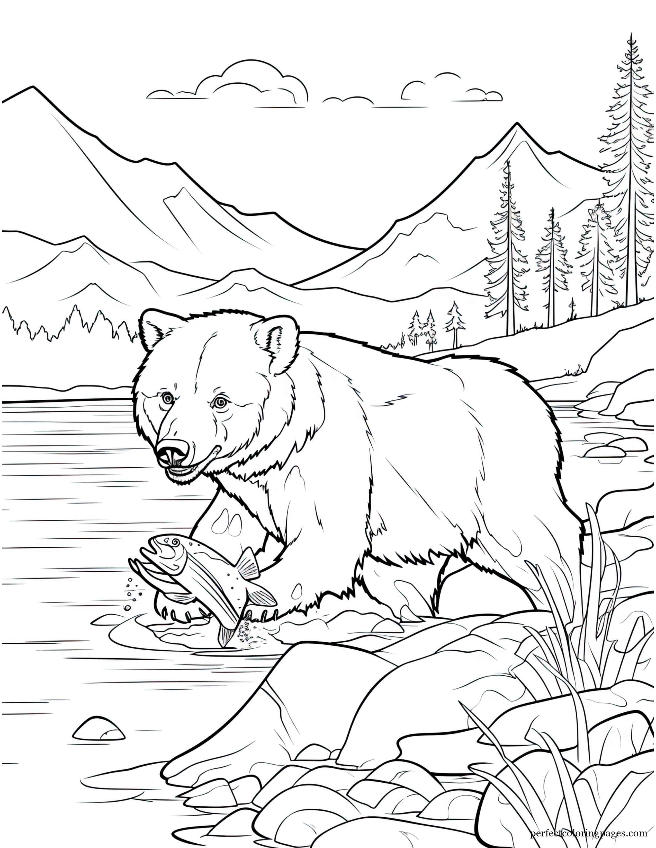 Hungry Alaskan Bear Catching Salmon in a River Cute Picture to Color