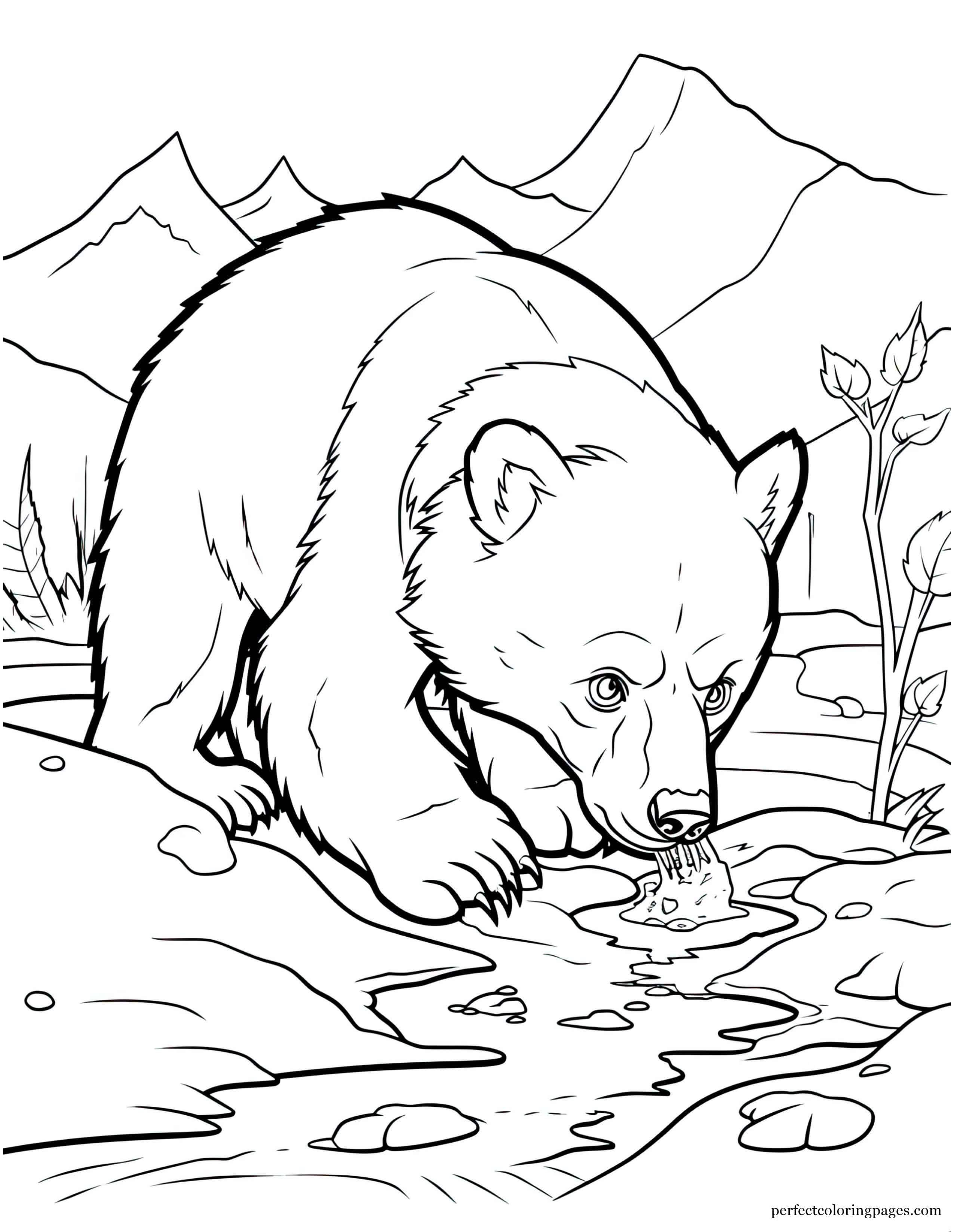 Hungry Grizzly Bear Digging for Food Coloring Sheet for Preschoolers