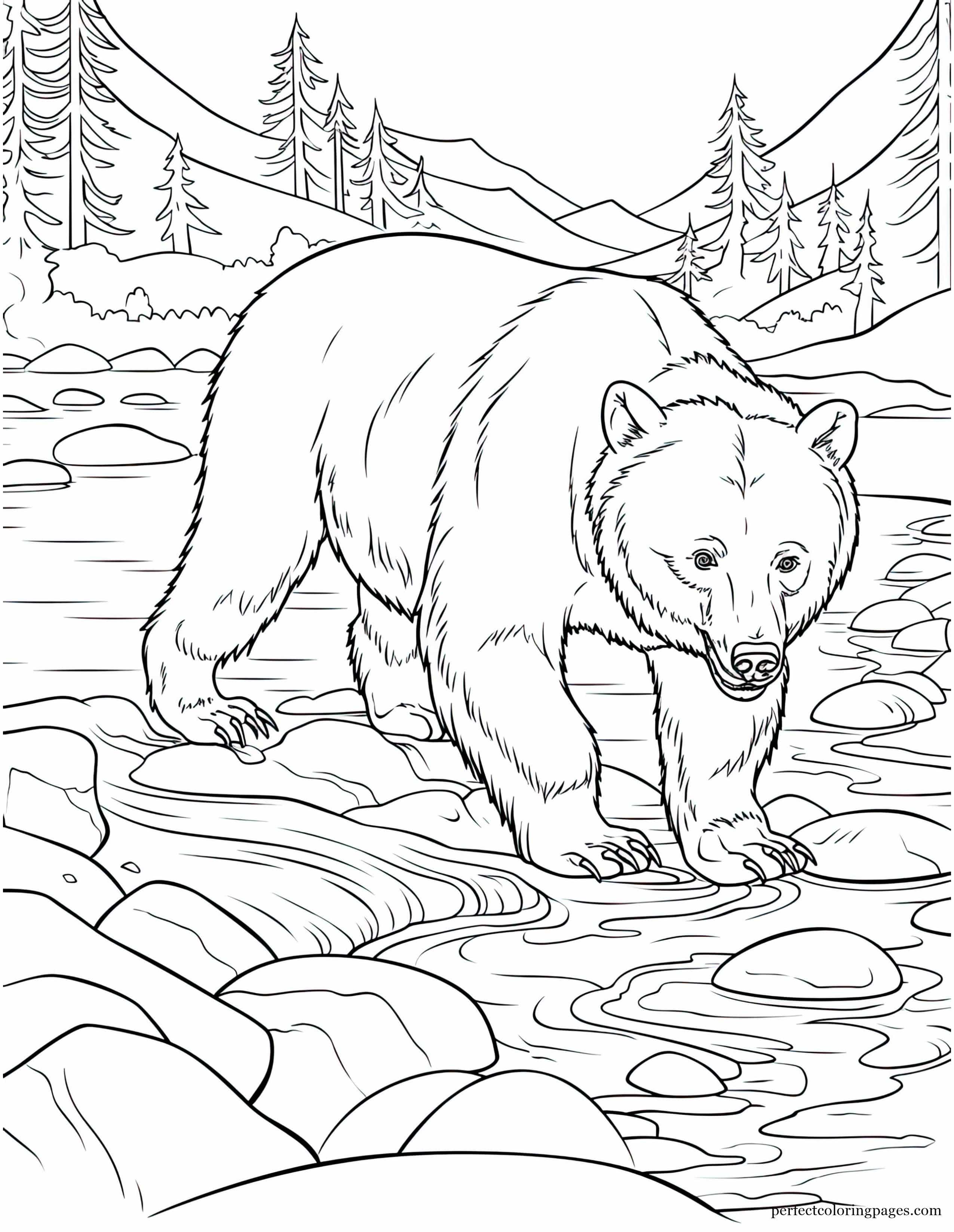 Hungry Grizzly Bear Foraging in the River for Salmon Picture to Color