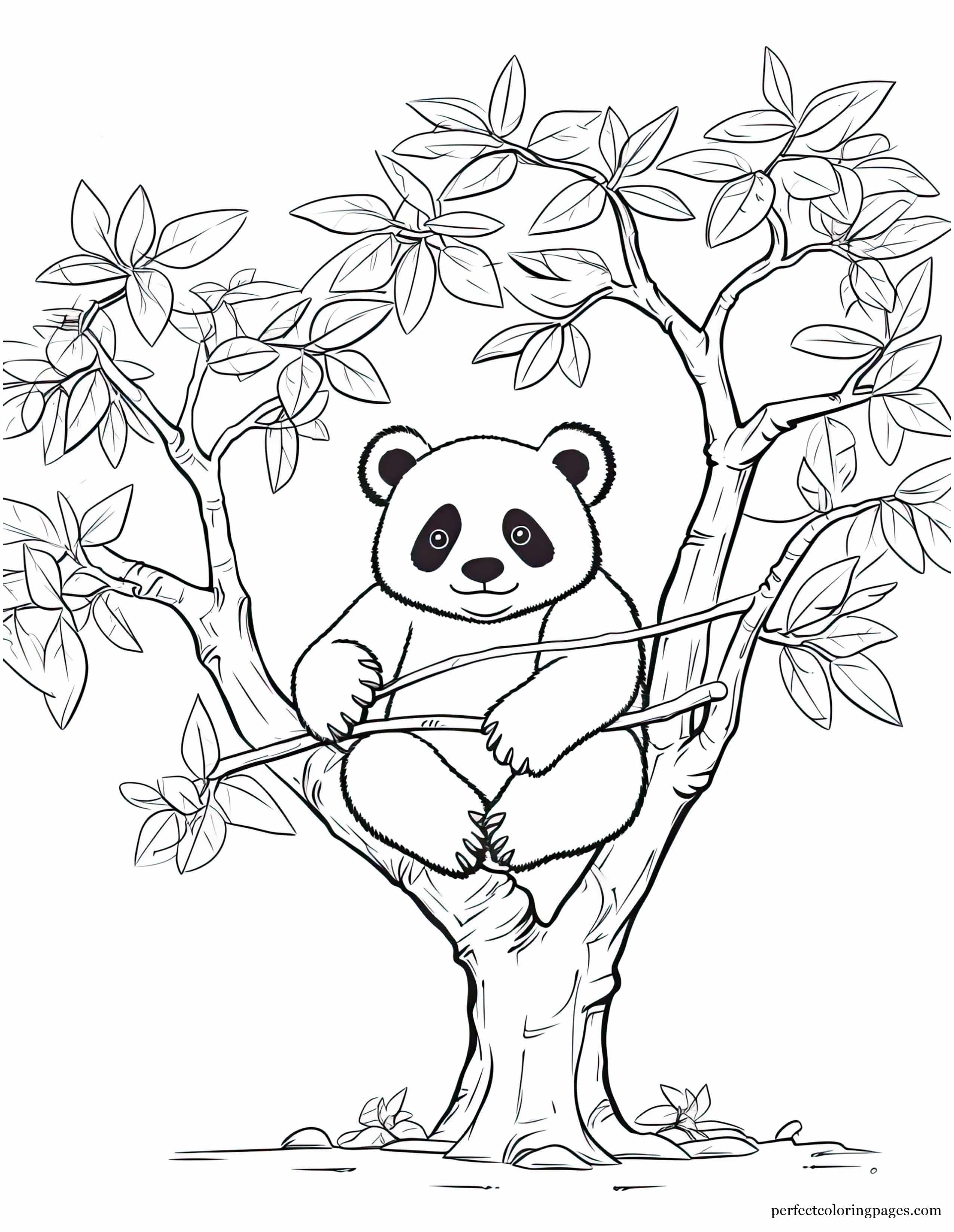 Panda Bear Lounging in a Tree Eating Bamboo Printable Coloring Page