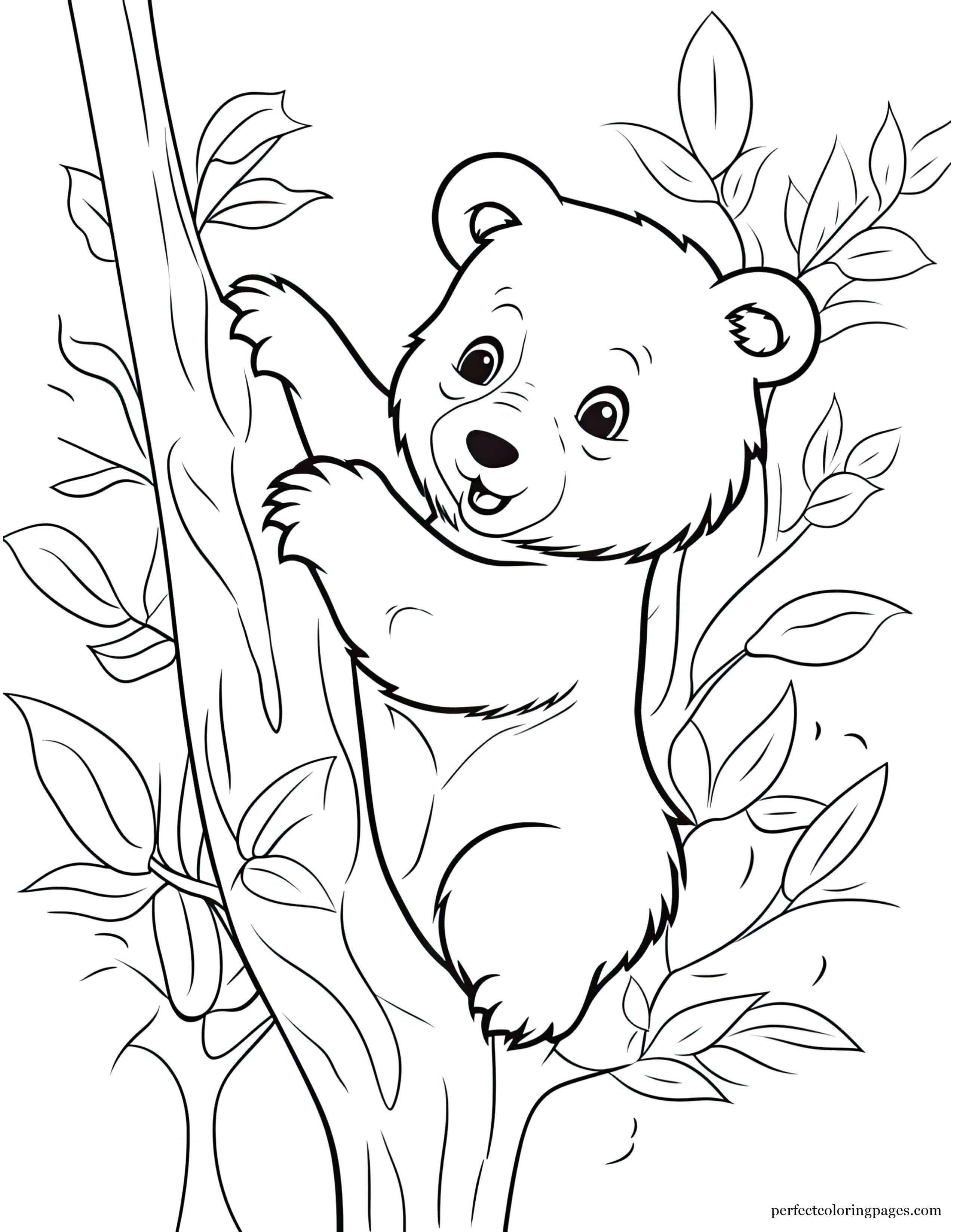 Playful Baby Bear Climbing a Tree Coloring Picture to Color